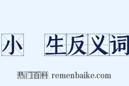 小學生反义词是什么意思的图片